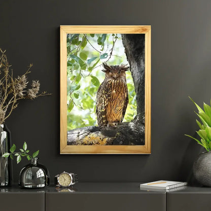 Winking Owl - Kanha National park Framed Owl Bird Photograph - wooden framed Owl bird- Kanha national park Photo, bird picture.
