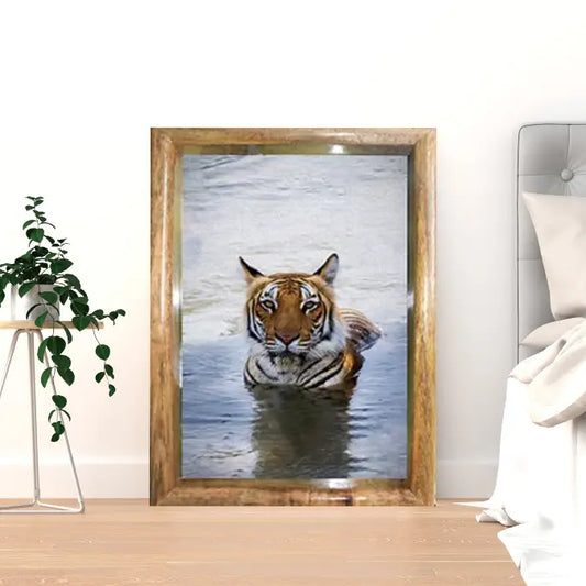 Royal Bengal Tiger in Water – Premium Wildlife Fine Art Print