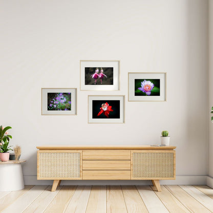 Set of 4 Flower Wall Art Prints – Lotus, Red Bloom, Bell Flower & Lavender Theme | Fibre Photo Artwork for Home Decor | Modern Framed Floral Art Panels