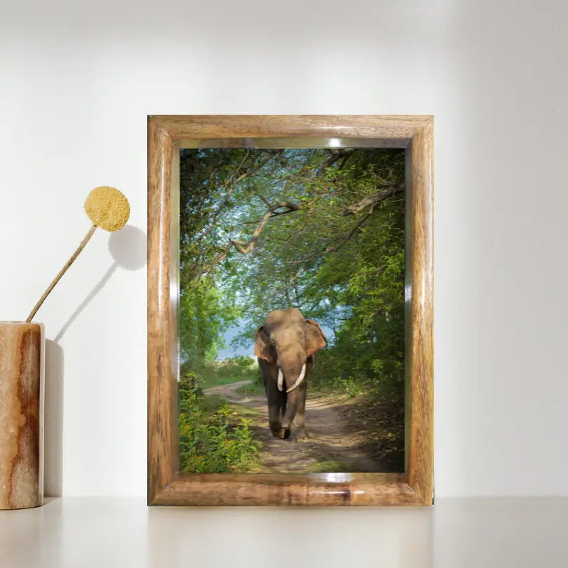 Cadre photo paysage éléphant dans la canopée de la jungle – Décoration d'art