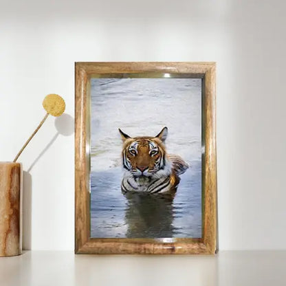 पानी में रॉयल बंगाल टाइगर – प्रीमियम वन्यजीव ललित कला प्रिंट 