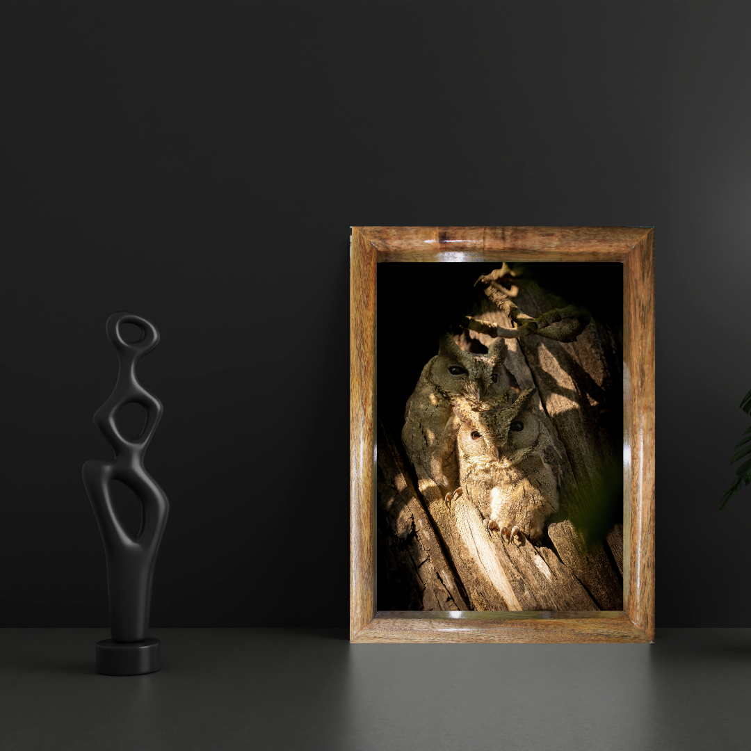 Le regard du fantôme 
