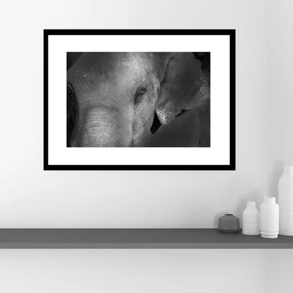 Grace in the Shadows – Elephant Portrait Fine Art Print | Luxury Wildlife Photography Wall Art