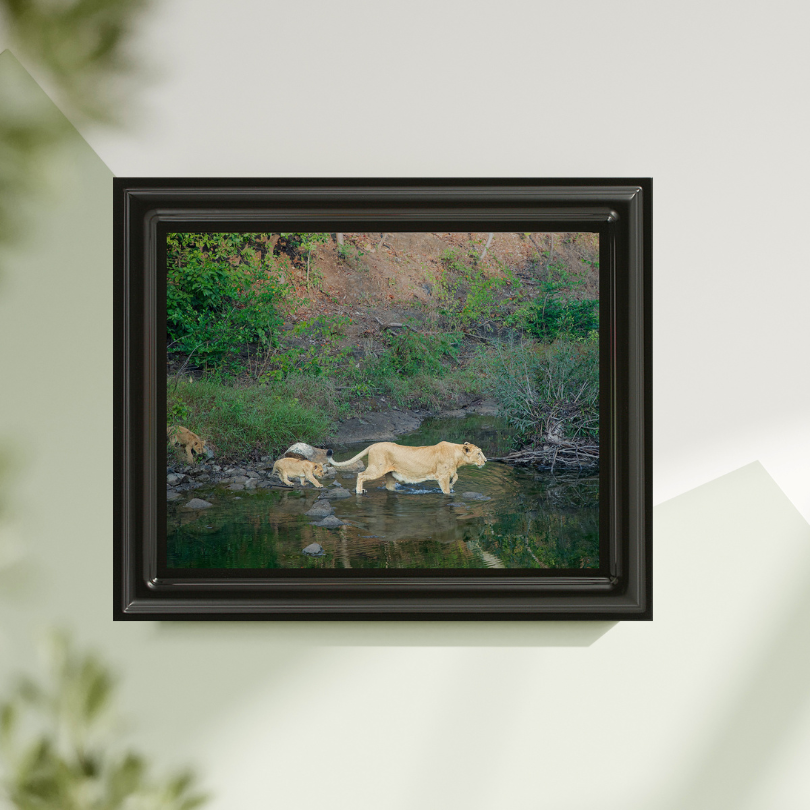 Le Monarque de Corbett - Éléphant en bois avec photographie artistique