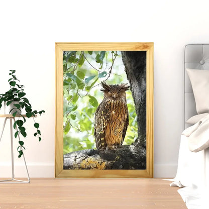 Winking Owl - Kanha National park Framed Owl Bird Photograph - wooden framed Owl bird- Kanha national park Photo, bird picture.