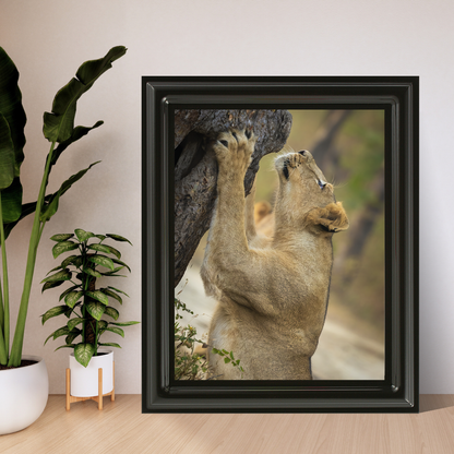 पानी में रॉयल बंगाल टाइगर – प्रीमियम वन्यजीव ललित कला प्रिंट 