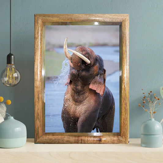 LalKaan – The Ruler of the River – Wildgraphy Fine Art Decor