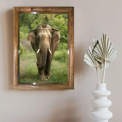Jungle Majesty – Head-On with Jungle Tusker Fine Art Photo Frame