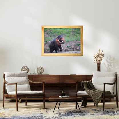 The Daily Routine of an Elephant - Wooden Photo Art Elephant - The Gaj