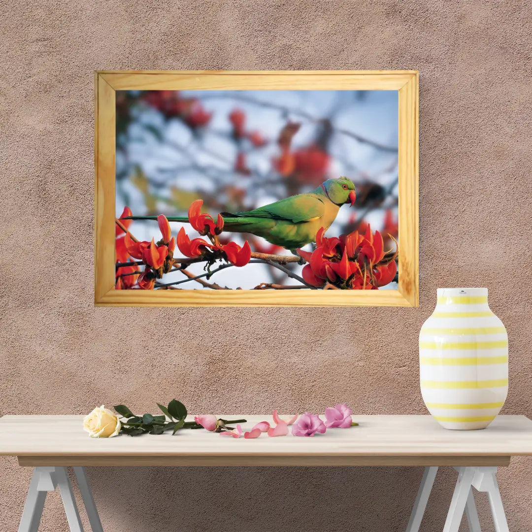 Colors in Harmony – The Parakeet & the Gulmohar