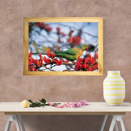 Colors in Harmony – The Parakeet & the Gulmohar