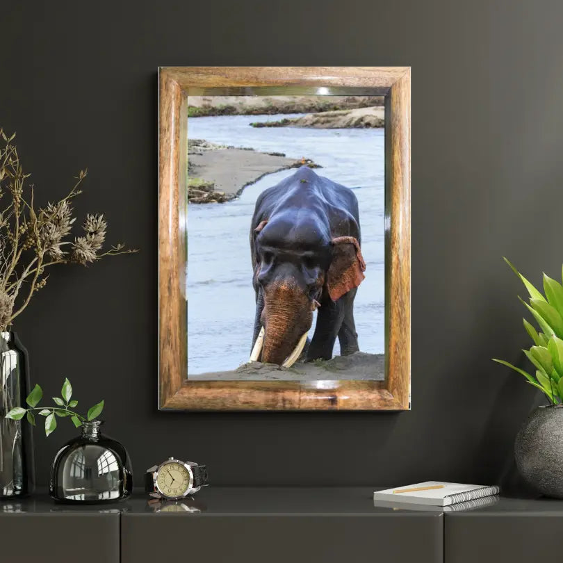 The Lalkaan of Corbett – Guardian of the River