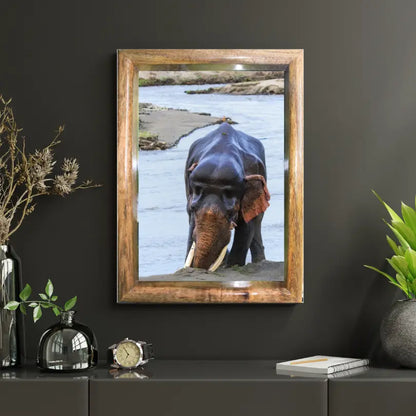 The Lalkaan of Corbett – Guardian of the River