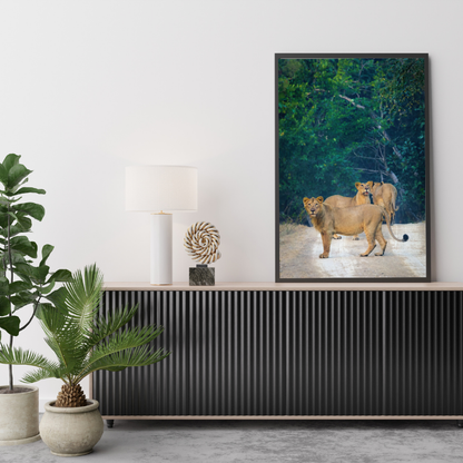 पानी में रॉयल बंगाल टाइगर – प्रीमियम वन्यजीव ललित कला प्रिंट 