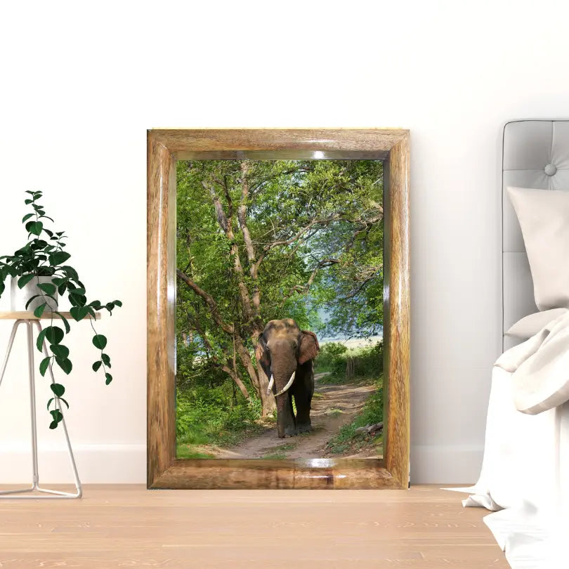 Cadre photo représentant un éléphant marchant dans la canopée de la jungle – Décoration d'art
