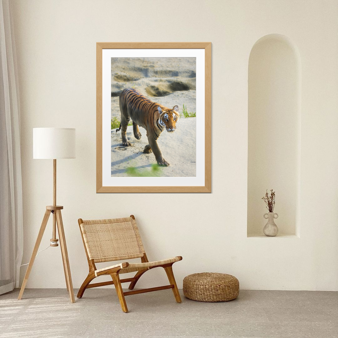 Œuvre d'art de collection en bois naturel représentant un tigre - Scène de jungle avec un tigre émergeant de l'eau