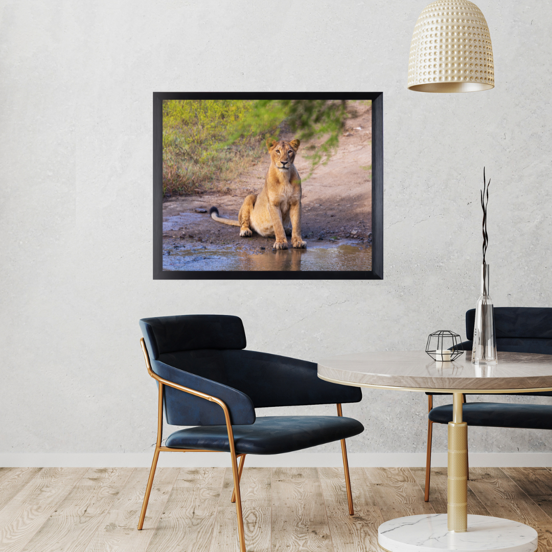 Le Monarque de Corbett - Éléphant en bois avec photographie artistique
