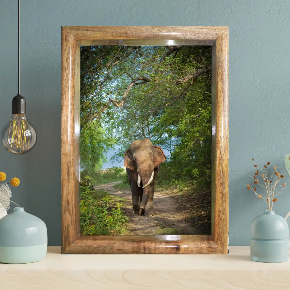 Cadre photo paysage éléphant dans la canopée de la jungle – Décoration d'art