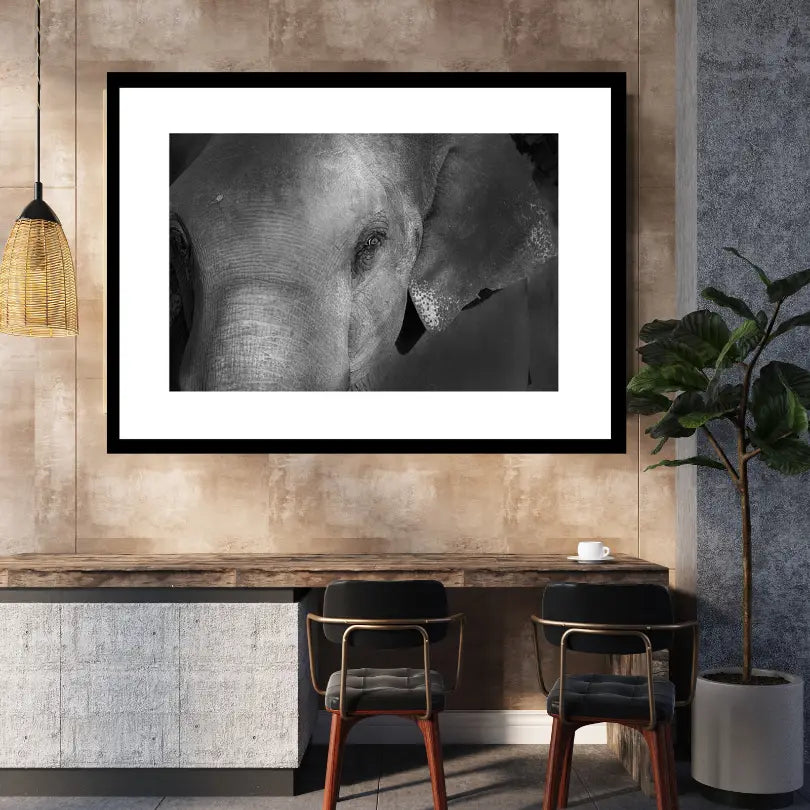 Grâce dans l'ombre – Portrait d'éléphant, tirage d'art | Photographie animalière de luxe 