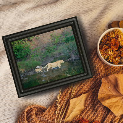 नदी से मिला सबक – जीवन रक्षा का सफर