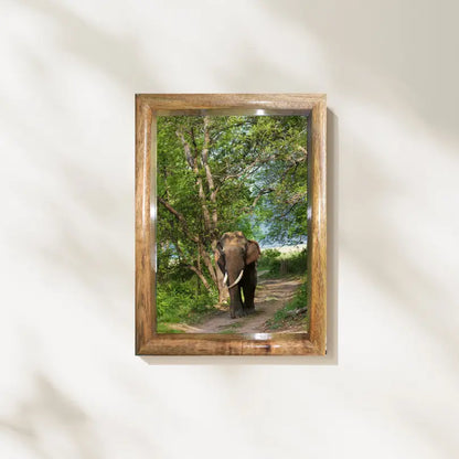 Elephant Walking in Jungle Canopy Landscape Photo Frame – Fine Art Decor