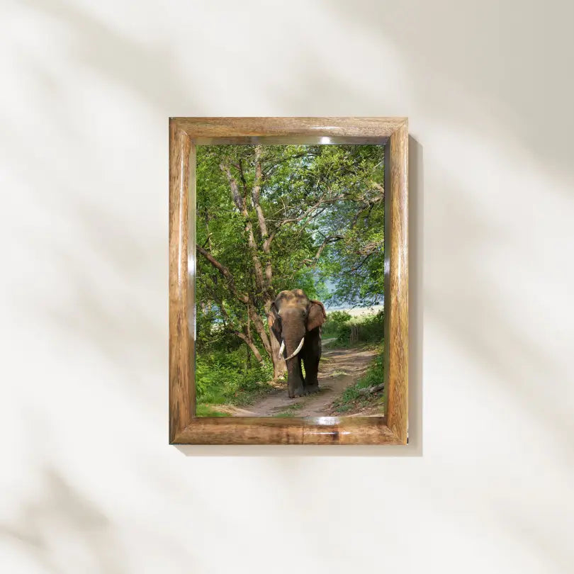 Cadre photo représentant un éléphant marchant dans la canopée de la jungle – Décoration d'art