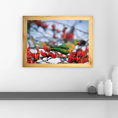 Colors in Harmony – The Parakeet & the Gulmohar