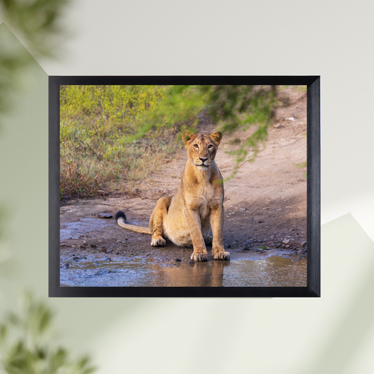 नदी से मिला सबक – जीवन रक्षा का सफर