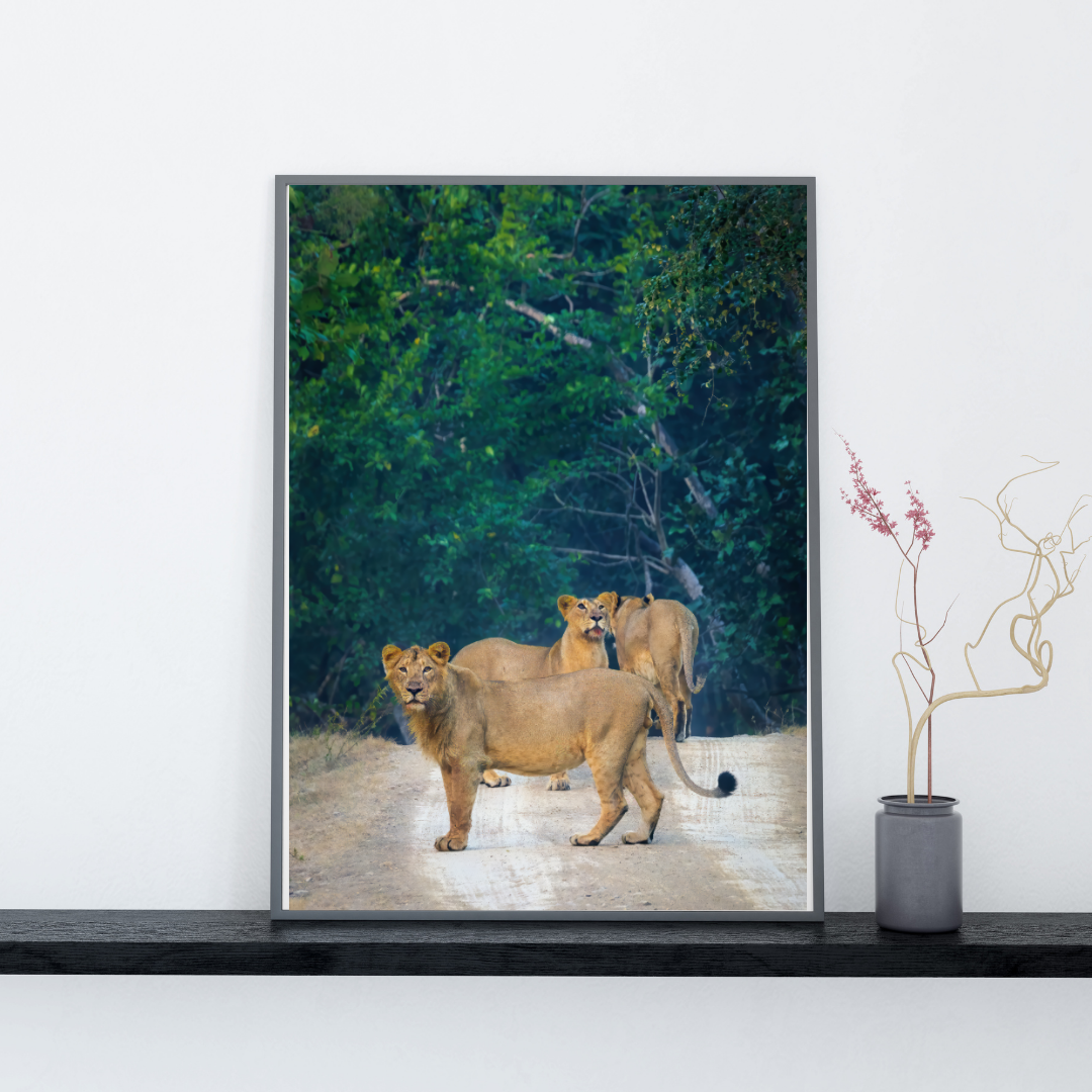 पानी में रॉयल बंगाल टाइगर – प्रीमियम वन्यजीव ललित कला प्रिंट 