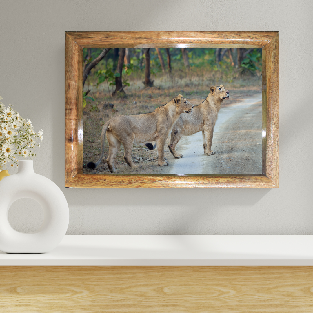 Le Monarque de Corbett - Éléphant en bois avec photographie artistique