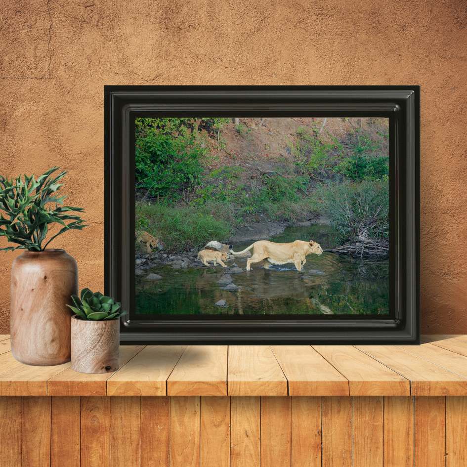 Le Monarque de Corbett - Éléphant en bois avec photographie artistique