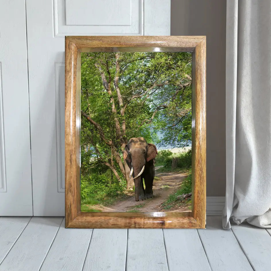 Cadre photo représentant un éléphant marchant dans la canopée de la jungle – Décoration d'art