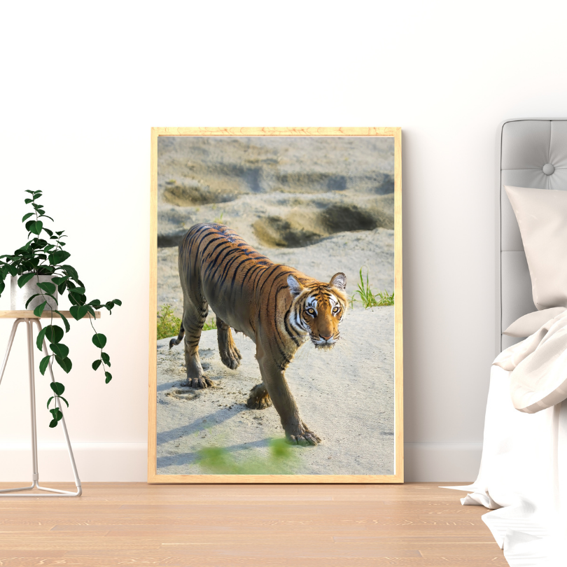 Œuvre d'art de collection en bois naturel représentant un tigre - Scène de jungle avec un tigre émergeant de l'eau