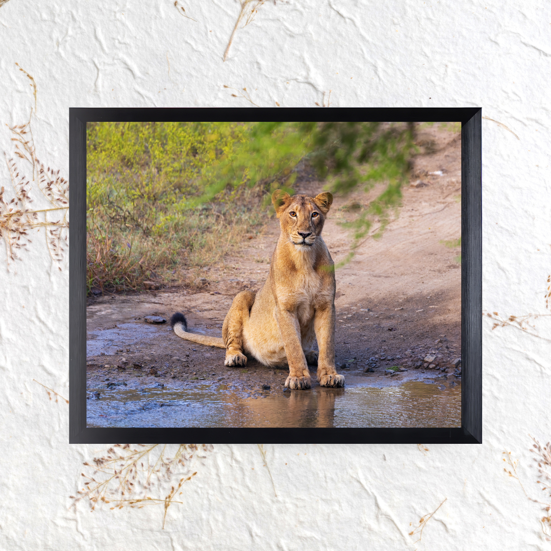 नदी से मिला सबक – जीवन रक्षा का सफर