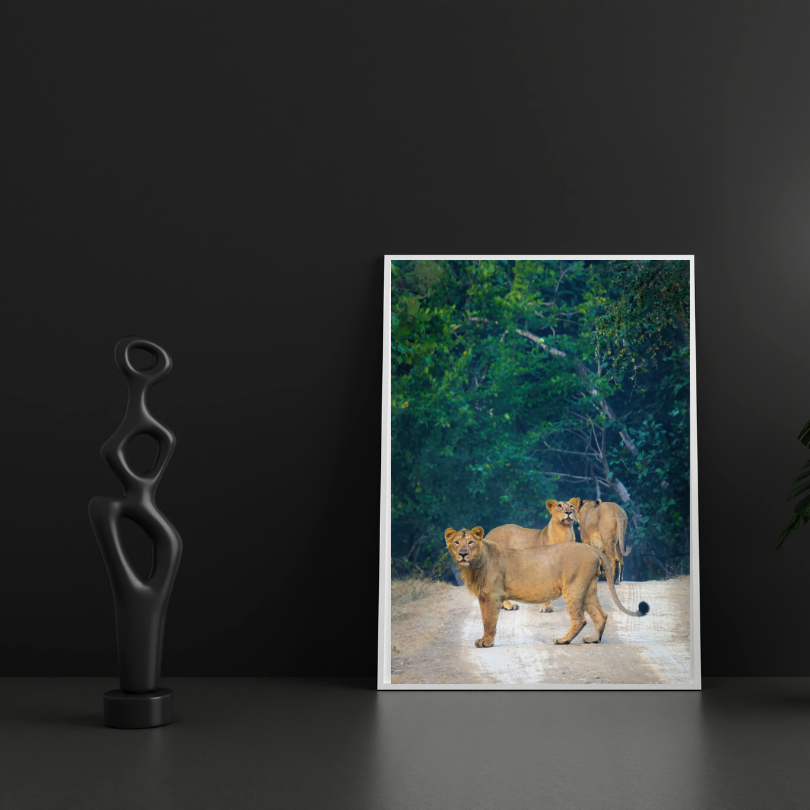 पानी में रॉयल बंगाल टाइगर – प्रीमियम वन्यजीव ललित कला प्रिंट 