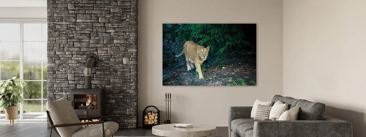 A square luxury art depicting a lion walking through a dark forest, displayed in a modern living room setting above a gray sofa next to a stone fireplace.
