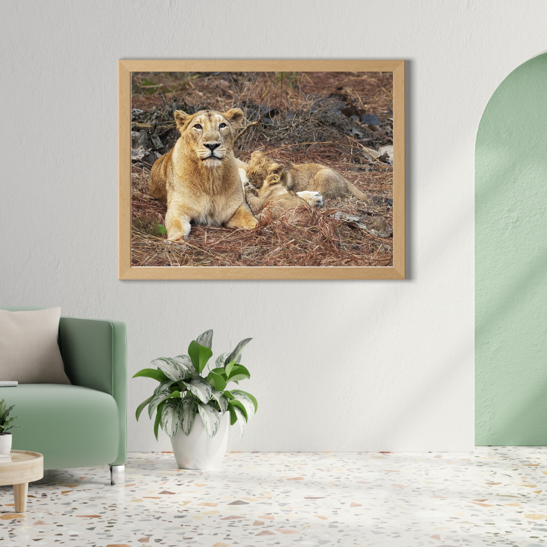 Le Monarque de Corbett - Éléphant en bois avec photographie artistique
