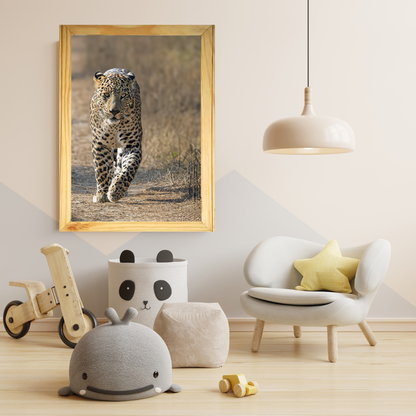 The Gaze of the Ghost