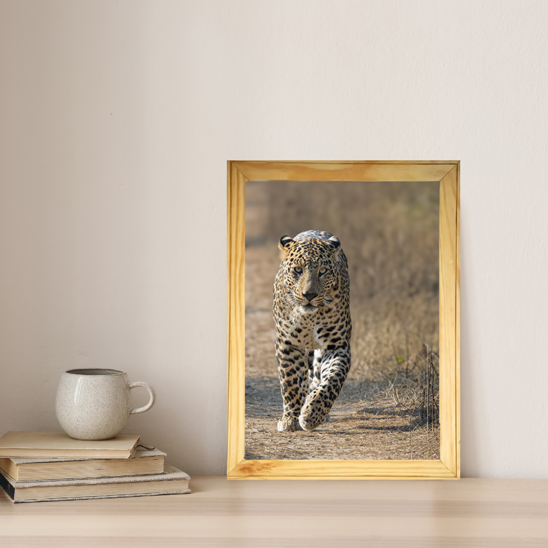 The Gaze of the Ghost