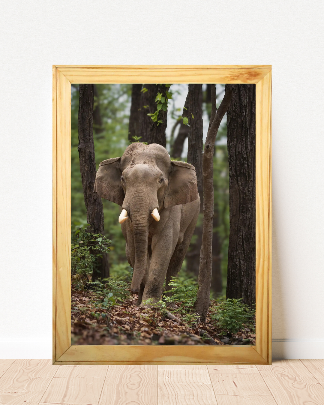 Silent Colonnade — Asian Elephant Fine Art Photography | Limited Edition Archival Print, India