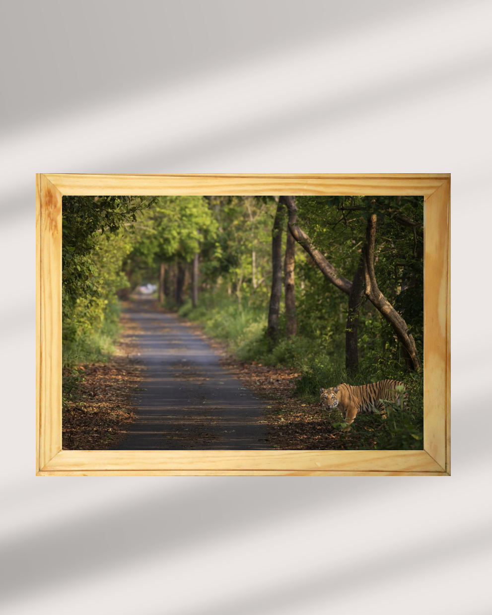 Amber Threshold — Bengal Tiger Fine Art Photography | Limited Edition Archival Print, India
