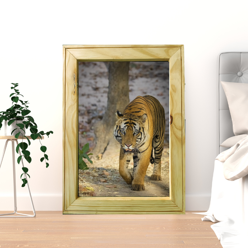 Five Meters from Majesty – A Close Encounter in Bandhavgarh