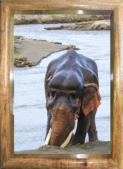 The Lalkaan of Corbett – Guardian of the River