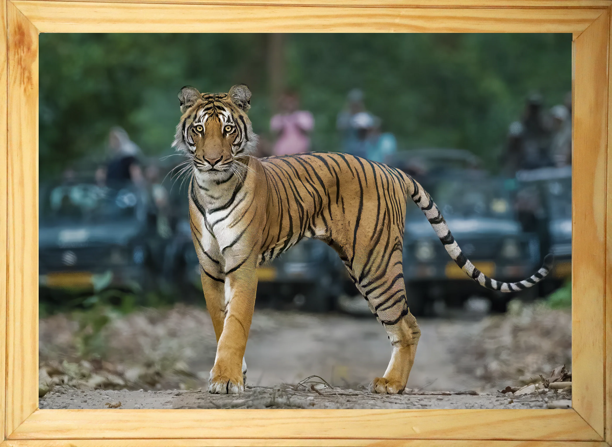 Adorable petit tigre – Cadre en bois inspiré de la faune sauvage | Décoration artistique pour les amoureux de la nature, pour la maison et le bureau