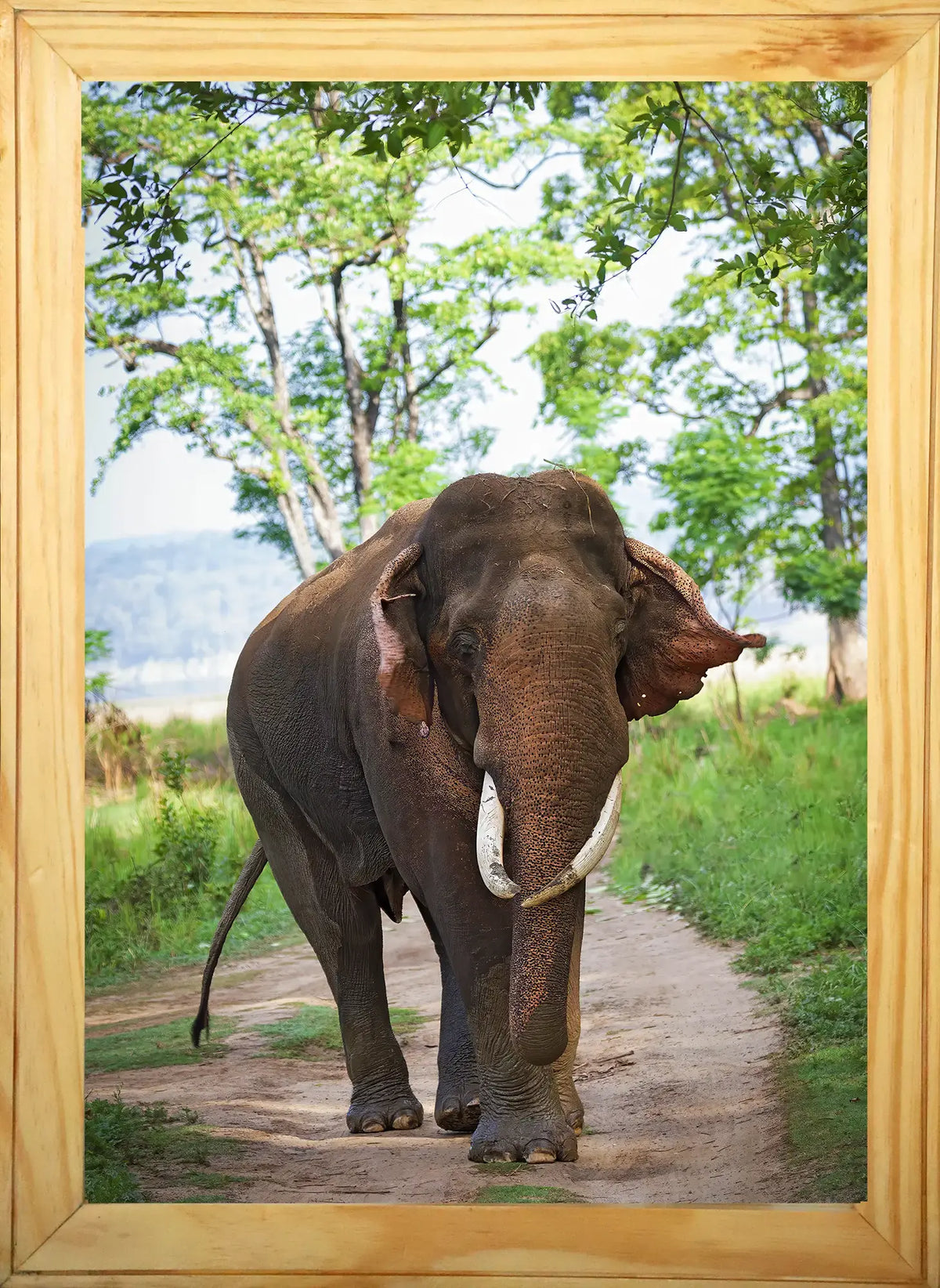 Reproduction d'art d'un éléphant majestueux retournant à la rivière - Cadre photo - Décoration murale - Retour à l'accueil
