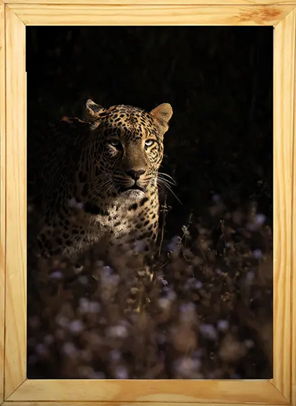 Death in the Shadows – The Silent Stalker