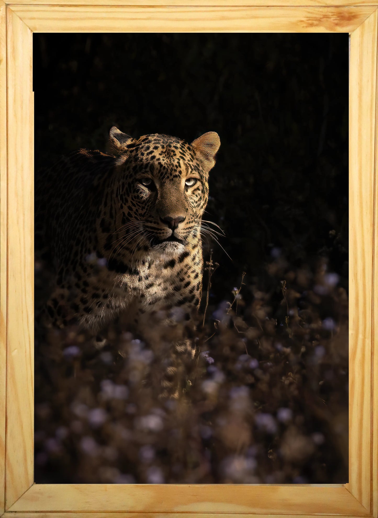 Death in the Shadows – The Silent Stalker