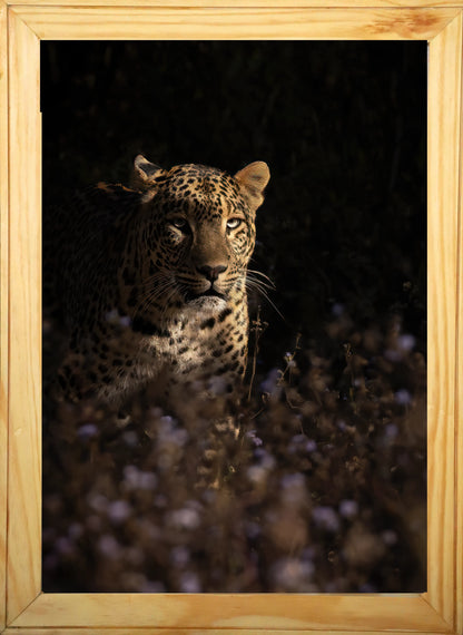 Death in the Shadows – The Silent Stalker