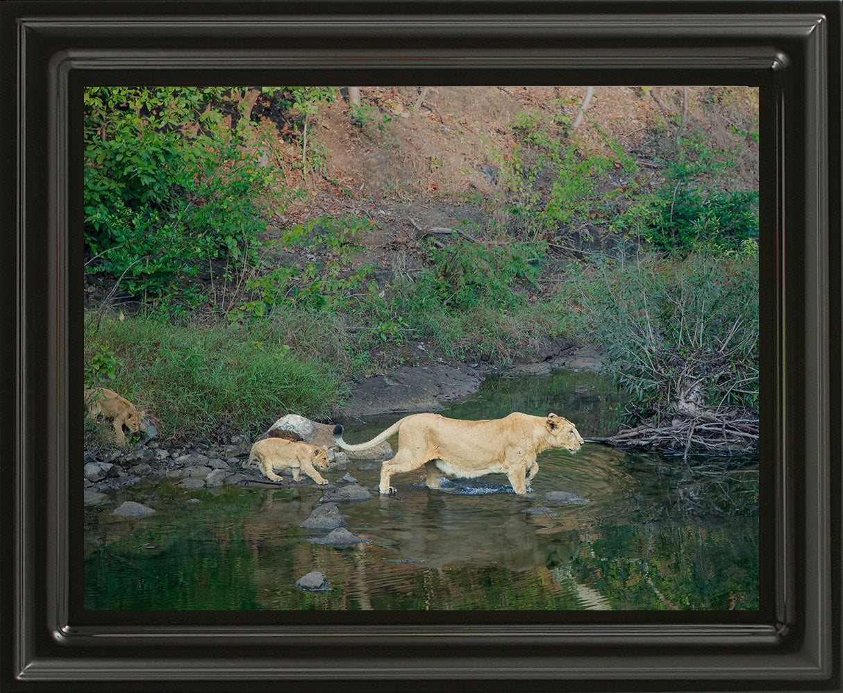 नदी से मिला सबक – जीवन रक्षा का सफर