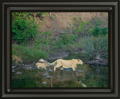 नदी से मिला सबक – जीवन रक्षा का सफर